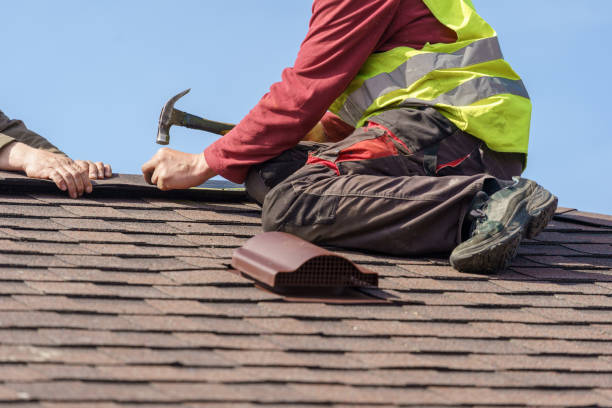 Best Local Roofing Companies  in Novi, MI