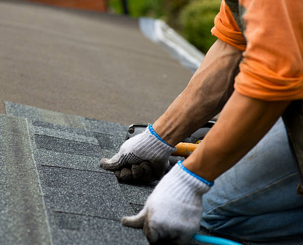 Best Residential Roofing Contractor  in Novi, MI