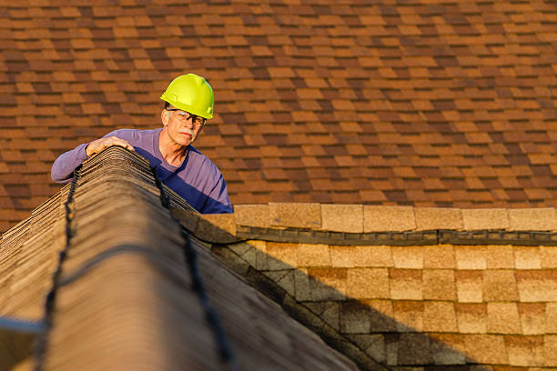 Best Storm Damage Roof Repair  in Novi, MI