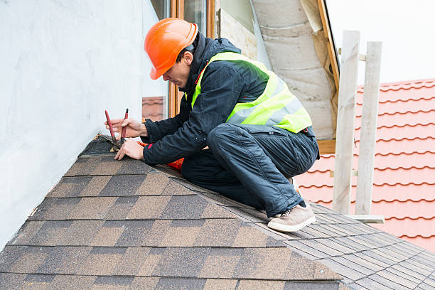 Best Roof Gutter Cleaning  in Novi, MI